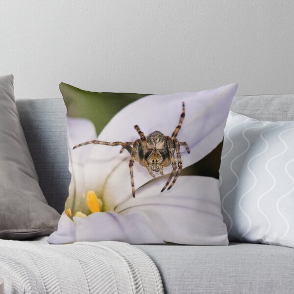 Item preview, Said the Spider to the Fly designed and sold by James  Messervy.