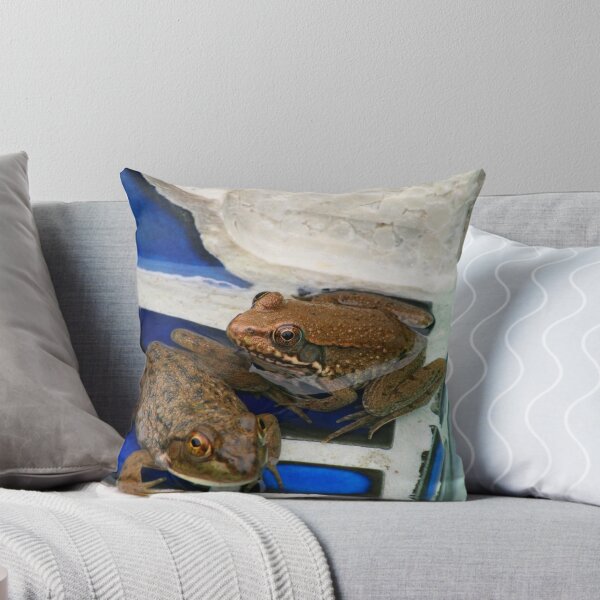 Artikelvorschau, Frog Relaxation entworfen und verkauft von sshhoirtt.