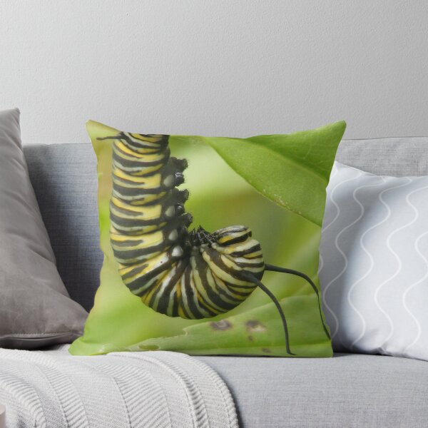 Item preview, Planning to Cocoon designed and sold by ronibgood.