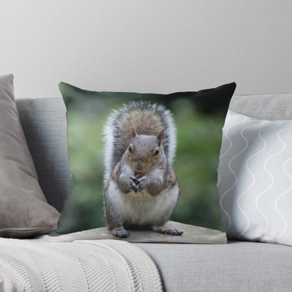 Item preview, Squirrel's Lunch time! designed and sold by Paul McGuire.