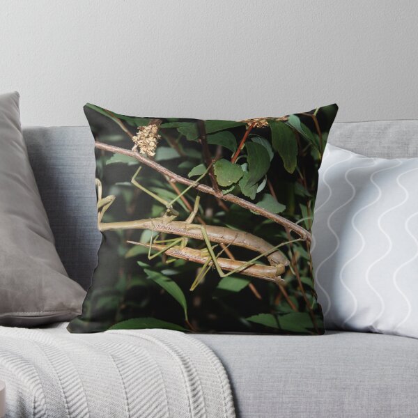 He lost his head... Throw Pillow