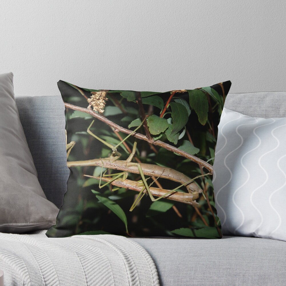 Item preview, Throw Pillow designed and sold by theoddshot.