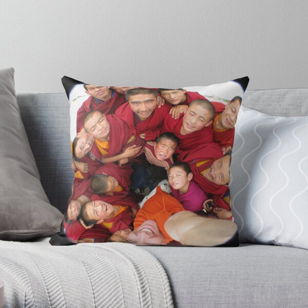 Bird's Eye View Throw Pillow