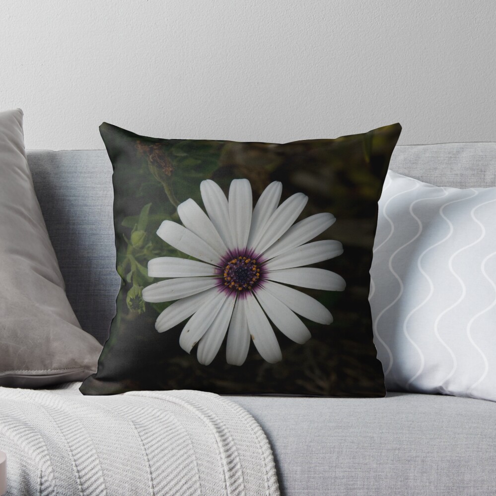 Light from the dark Throw Pillow