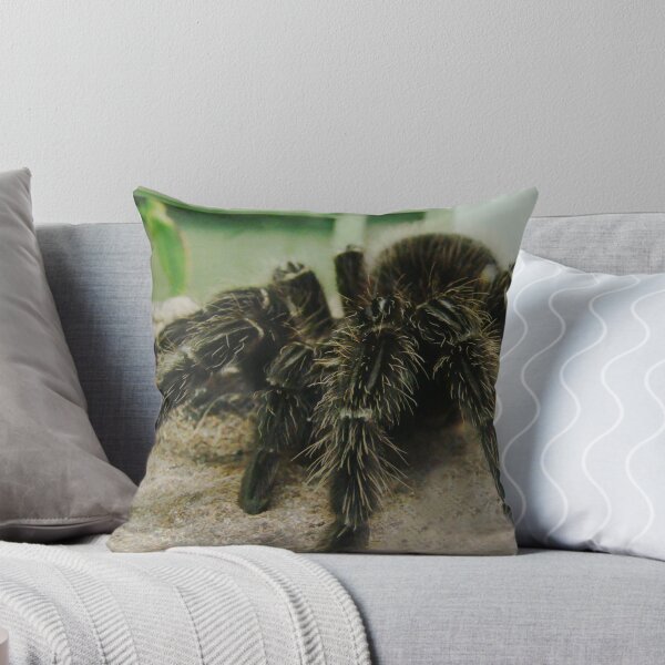 Item preview, Hairy Spider designed and sold by Tom Newman.