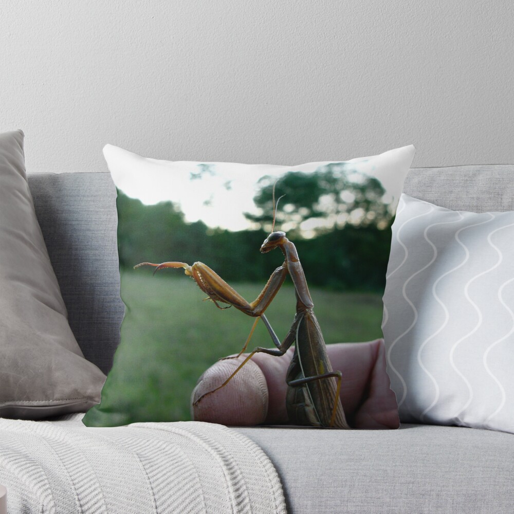 Item preview, Throw Pillow designed and sold by alvinsan9.