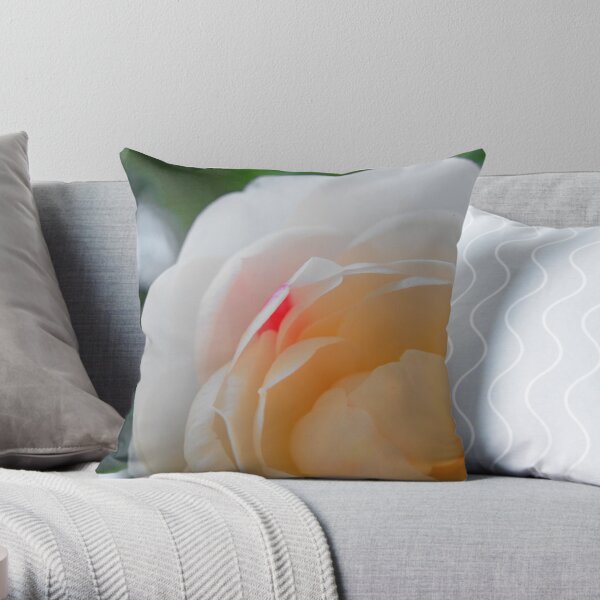 Accent Throw Pillow