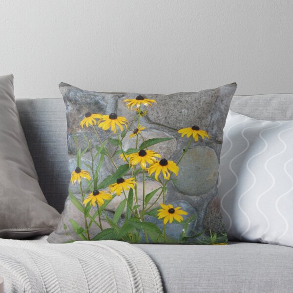 Item preview, Rocking Daisies designed and sold by CassPics.