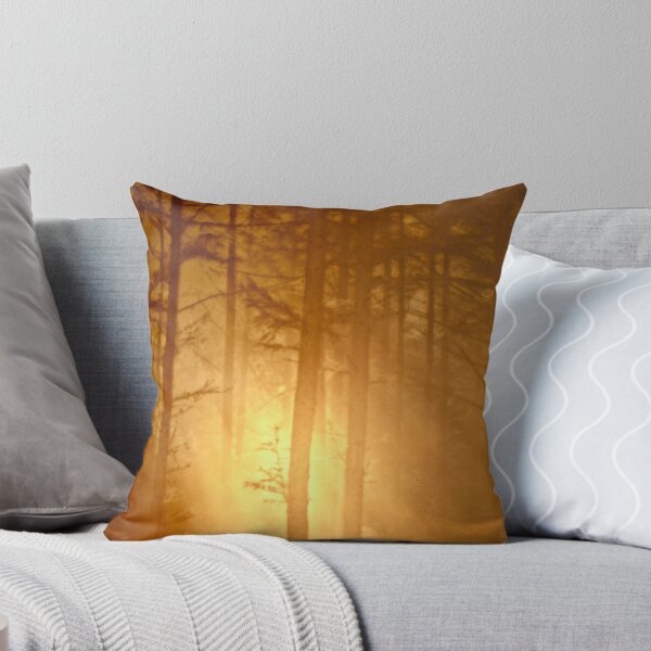 Close Encounter ... of the Second Kind Throw Pillow