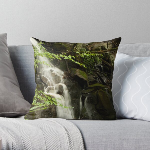 Guess what? More Laurel Falls!! Throw Pillow