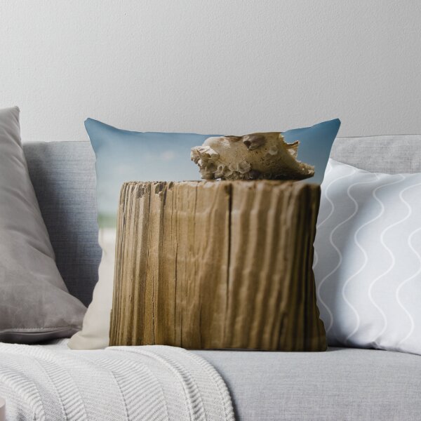 Item preview, She Shot Seashots by the Seashore designed and sold by andapanda.