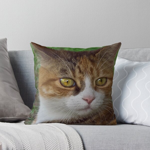 Item preview, Miss Kitty designed and sold by Cheri  McEachin.