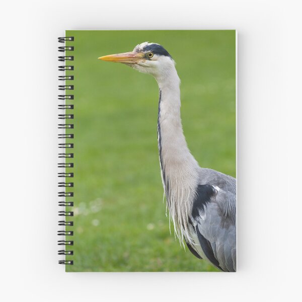 Item preview, The Watchful Heron designed and sold by Londonimages.