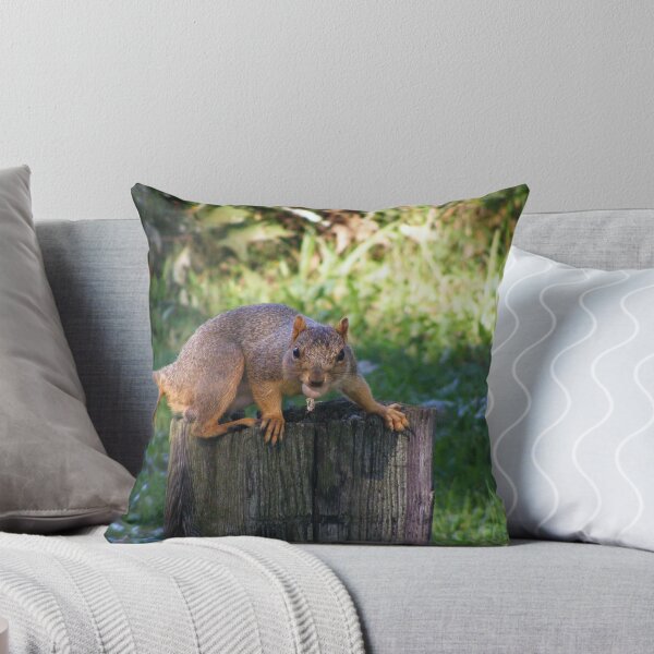 Item preview, You Can't Have It! designed and sold by Tamara Bobst.