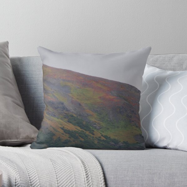 Paint by Number Throw Pillow