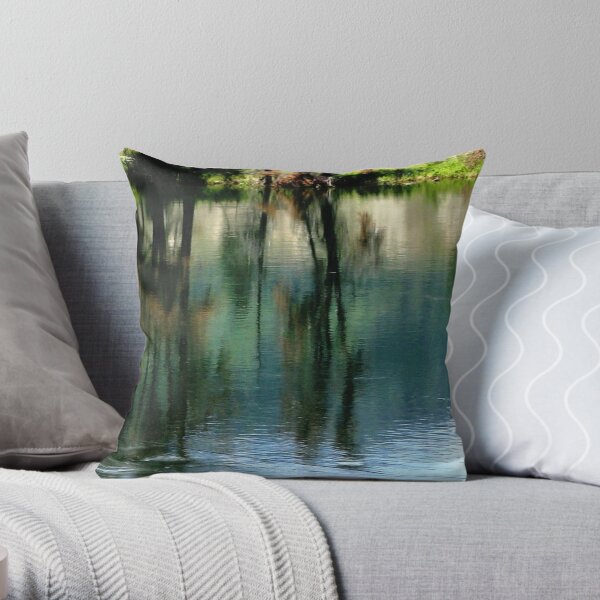Shades and Stages Throw Pillow