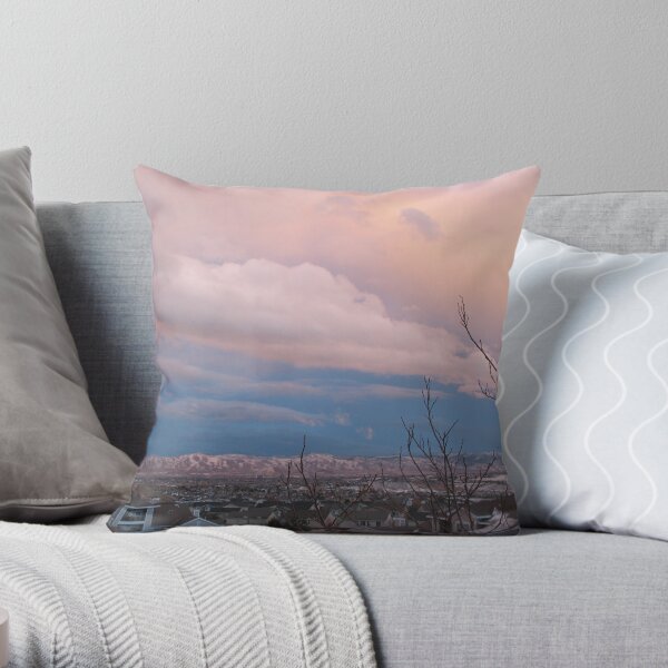 Covered Throw Pillow
