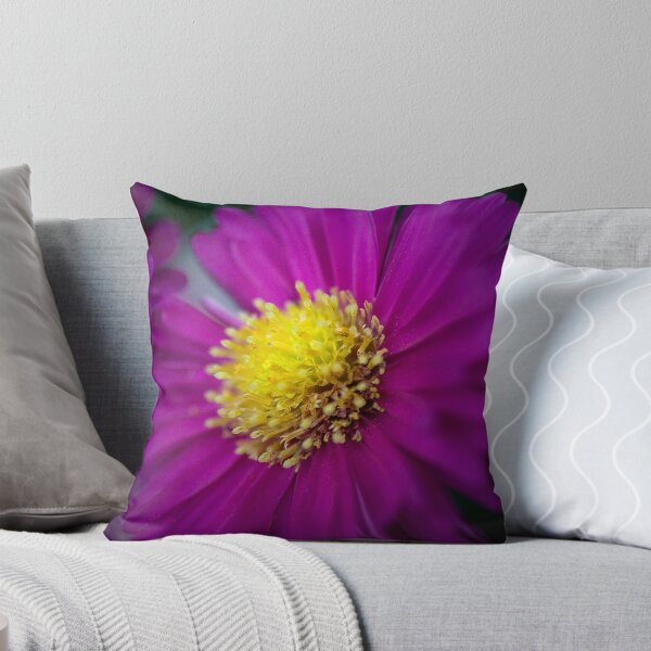 Item preview, Aster Light designed and sold by jenndes.