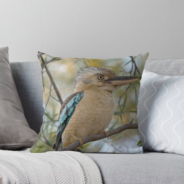 Artikelvorschau, Kookaburra. entworfen und verkauft von trevorb.