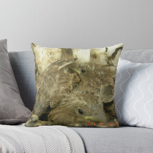 Item preview, A bad hair day? and this too shall pass designed and sold by scrapper.