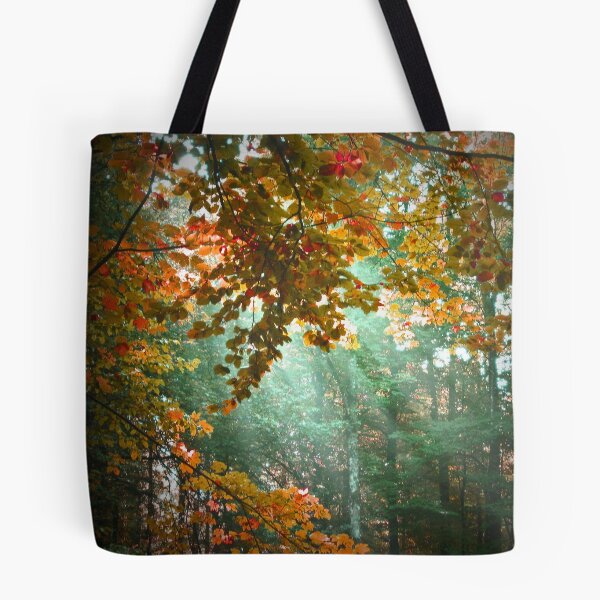 Item preview, Streaks of Sunlight designed and sold by Rosy Kueng Photography.