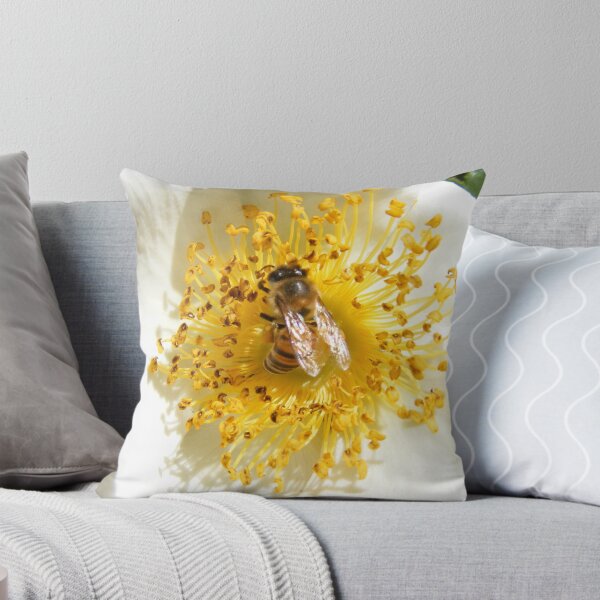 Aperçu de l'œuvre Bee créée et vendue par Melt.