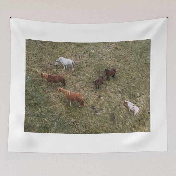 Item preview, Horses from above designed and sold by MarioGuti.