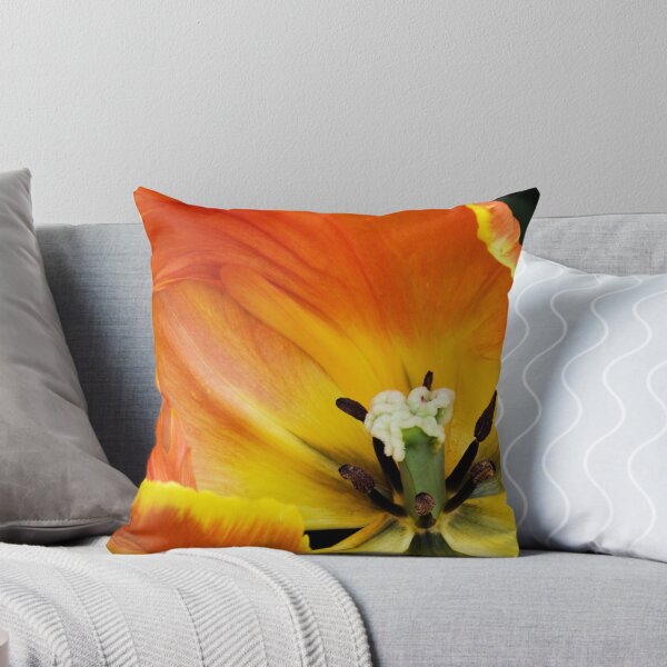 Item preview, Parkeit (Parrot) Tulip "Professor Rontgen" designed and sold by Alison Cornford-Matheson.