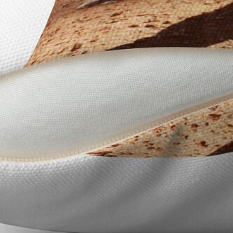Alternate view of Sand goanna – Varanus gouldi Throw Pillow