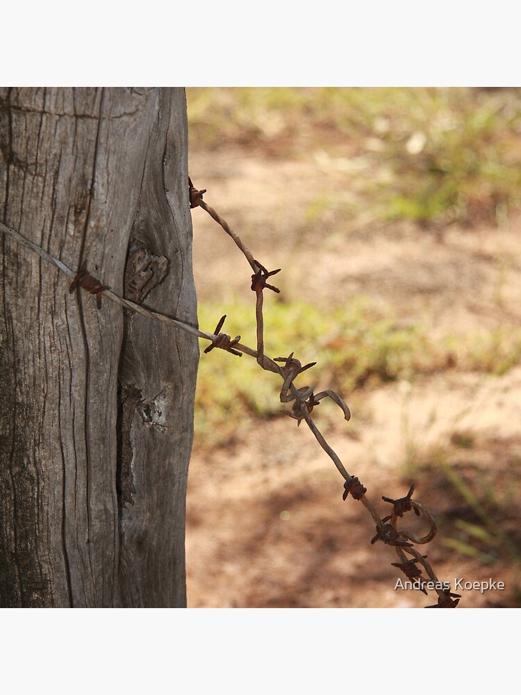 Old barbed wire by mistered