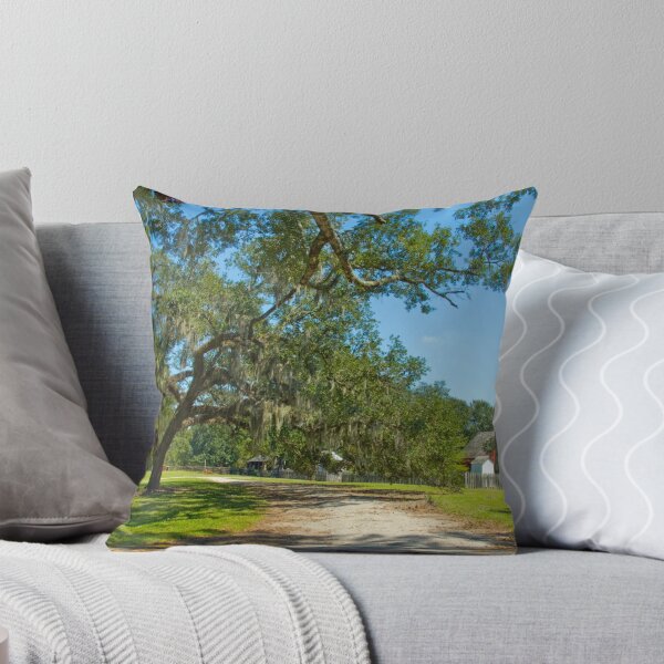 Item preview, Country road, take me home . . . designed and sold by Bonnie T.  Barry.