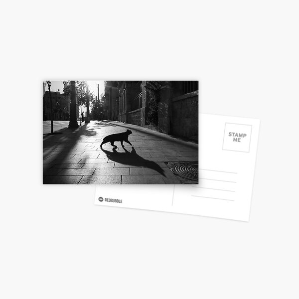 the animal Postcard