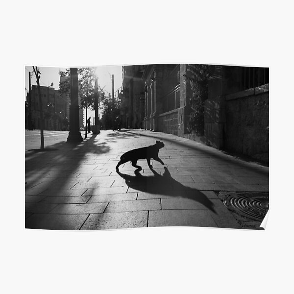 the animal Poster