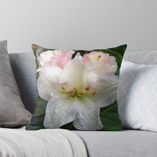Aperçu de l'œuvre Rhododendron créée et vendue par StuartR.