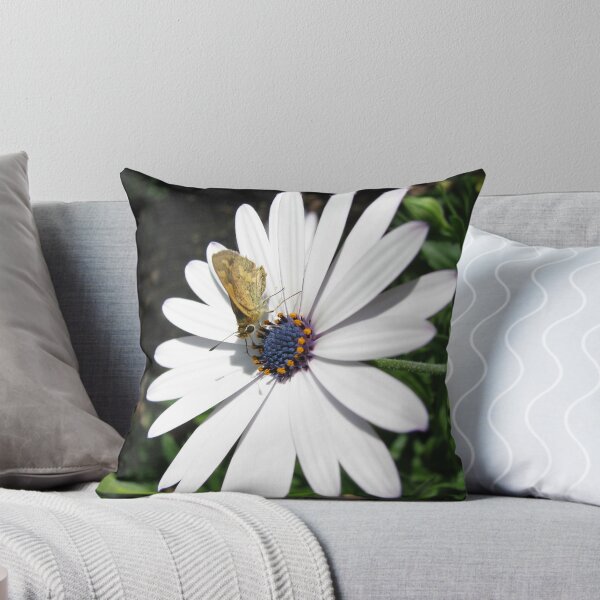 Item preview, "Daisey-May" designed and sold by Sue  Fellows.