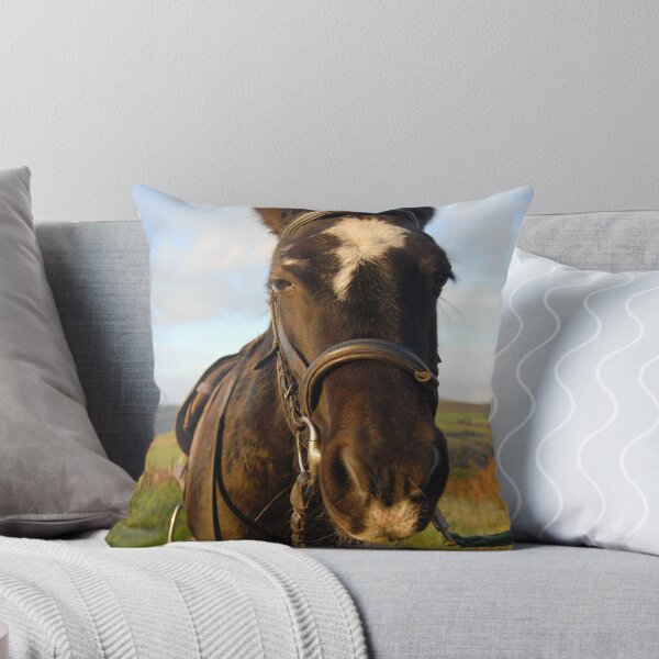 Item preview, zulu the cob designed and sold by zacco.