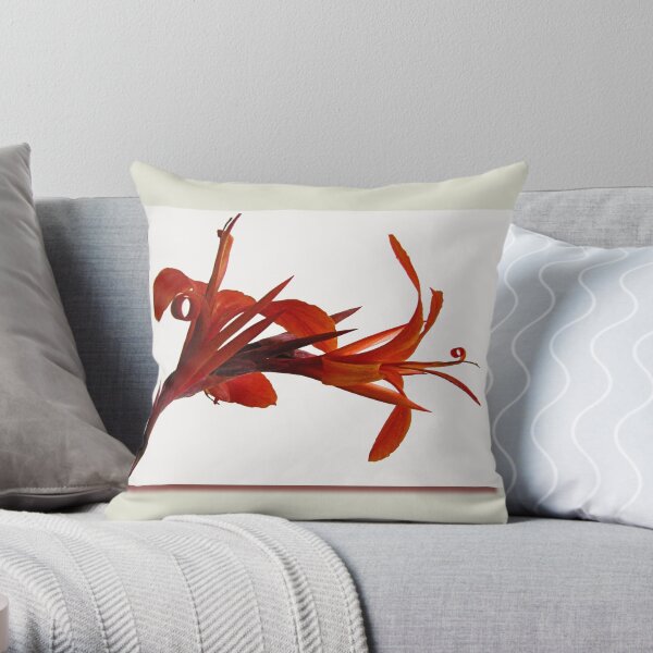 Canna Framed Throw Pillow