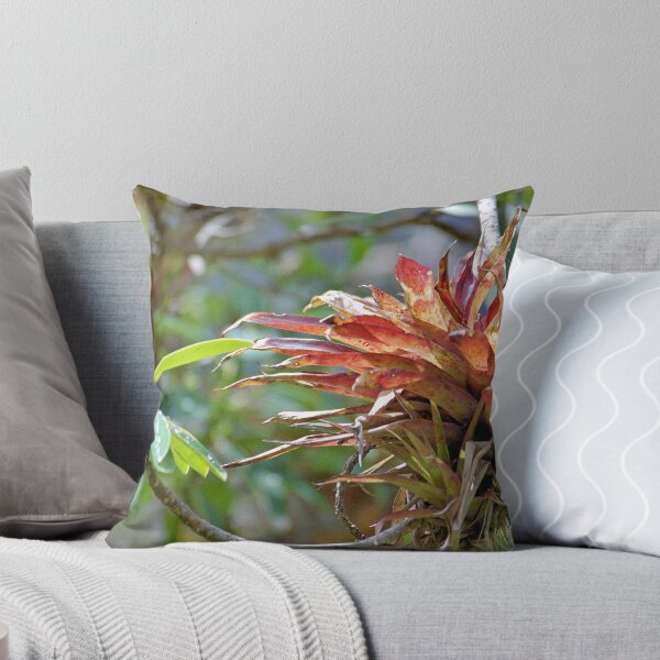 Item preview, Bromeliad designed and sold by Paris Lee.