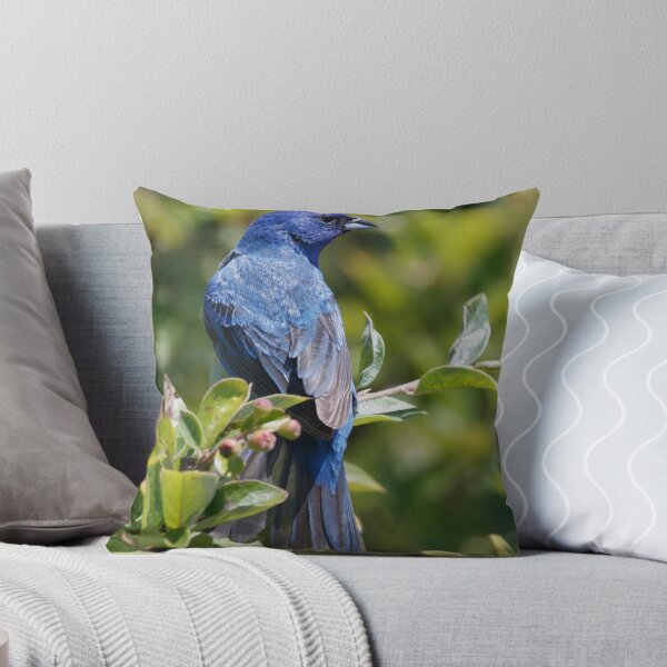 Item preview, Male Indigo Bunting designed and sold by John Absher.