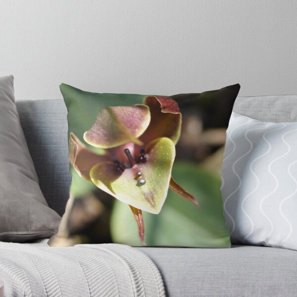 Item preview, Large Bird Orchid "Chiloglottis valida" #2 designed and sold by Rosie Appleton.