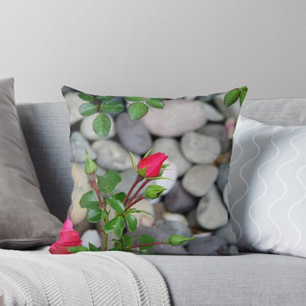 Item preview, Rose Buds and River Rocks designed and sold by GesturesPhoto.