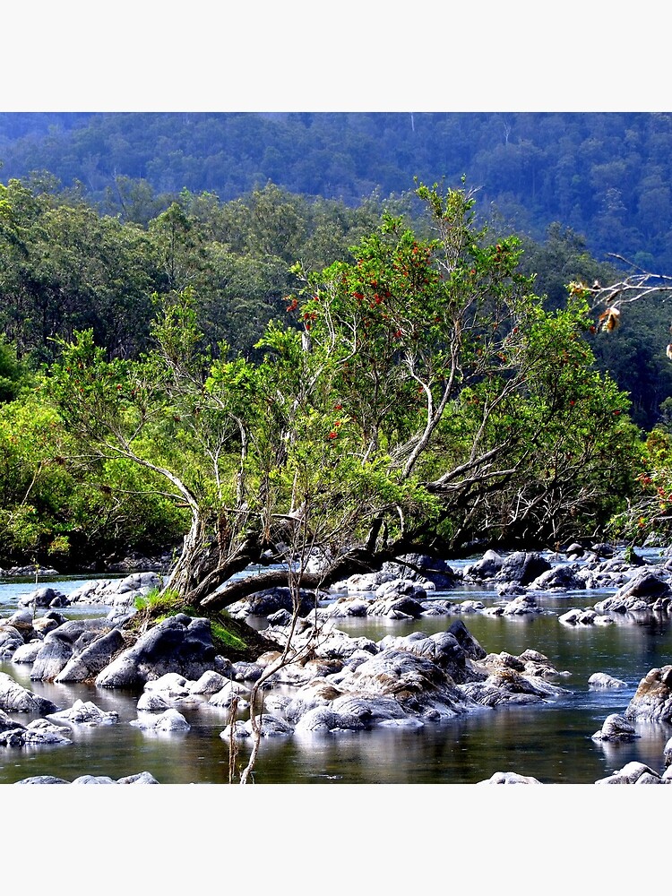 Nymboida River by theoddshot