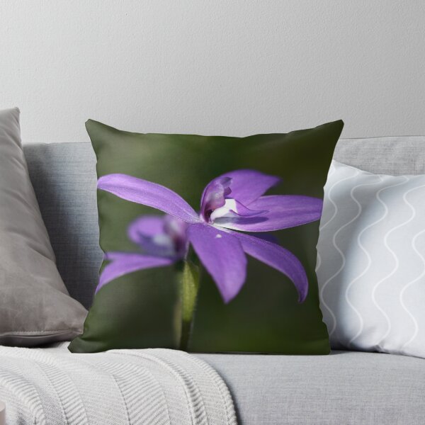 Item preview, Glossodia Major - Wax Lip Orchids - Mt Barker Summit designed and sold by LeeoPhotography.