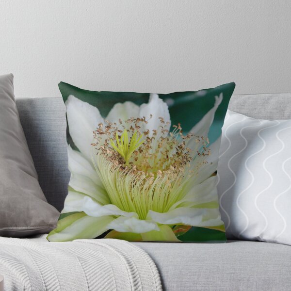 Item preview, Night Bloomer designed and sold by Stephanie  Newbold.
