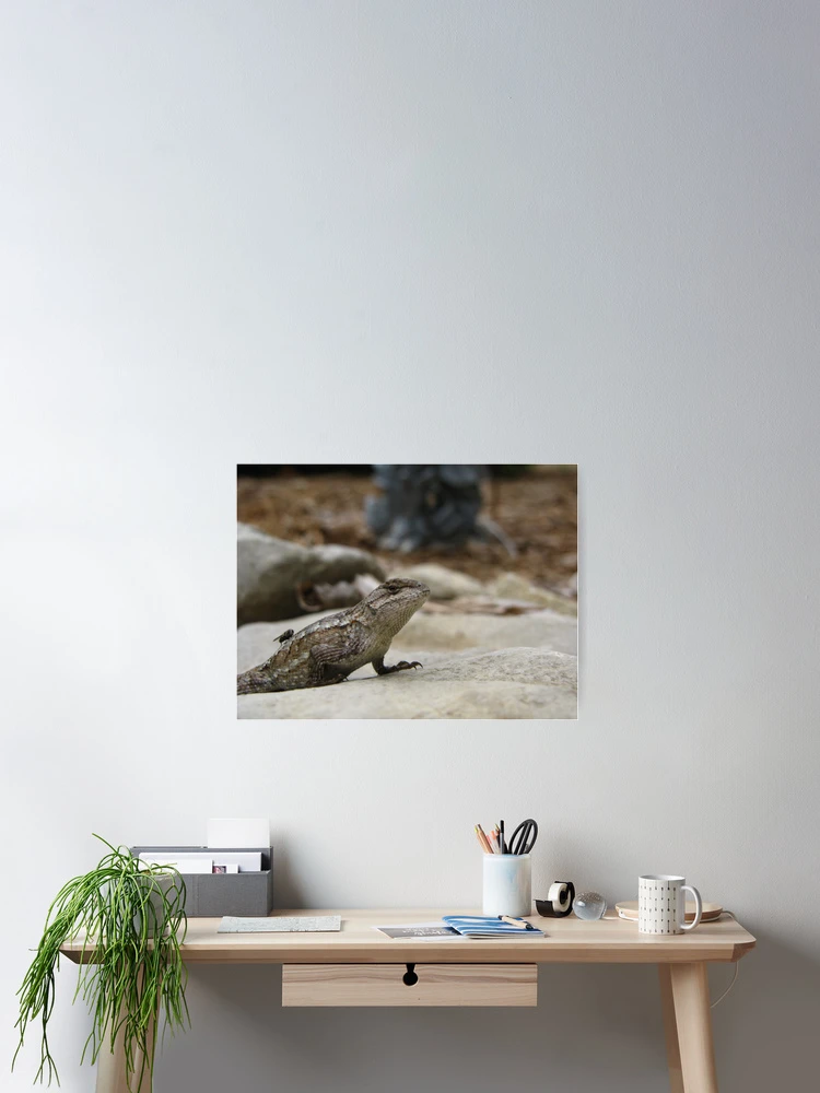 Thumbnail 2 of 3, Poster, Lizard Free Ride designed and sold by JAX1PIX.