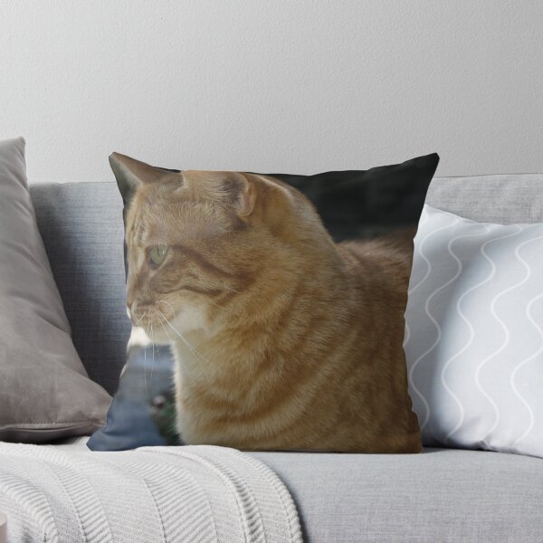 Item preview, Kitty-Cat designed and sold by Rebecca Leonard.
