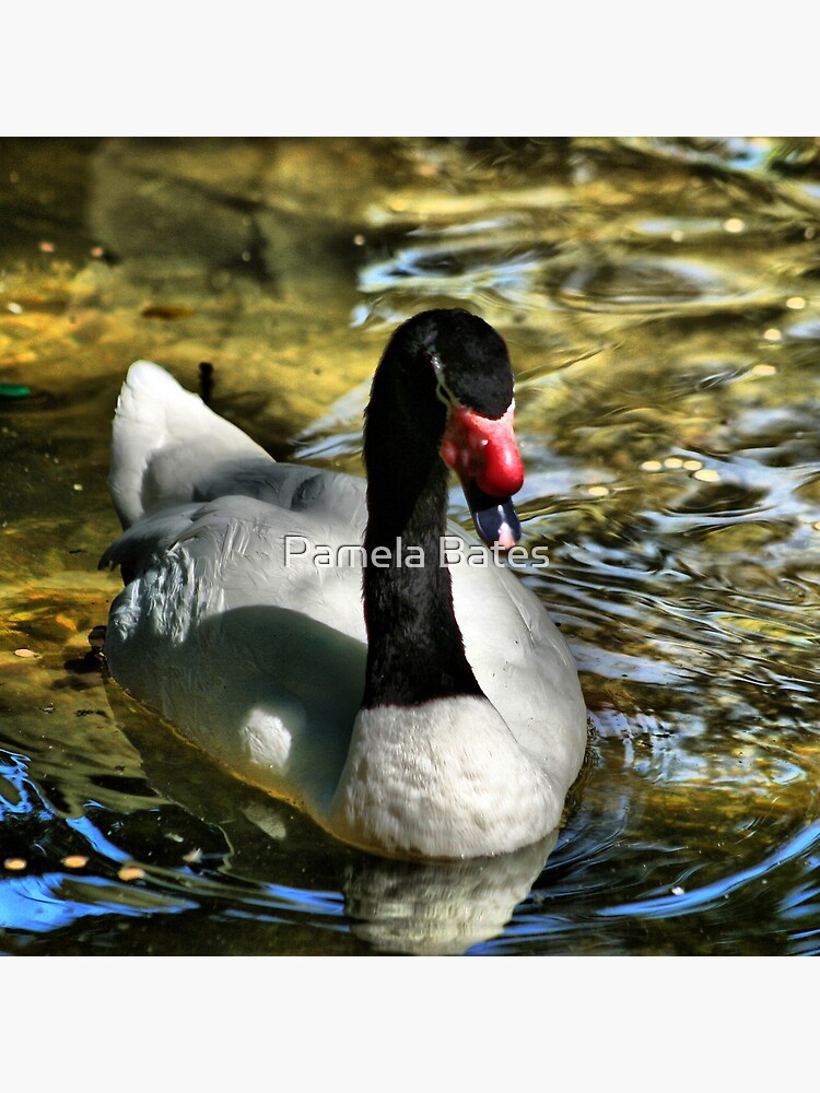 Thumbnail 2 of 2, Tote Bag, Swan a Swimming designed and sold by idnurse41.