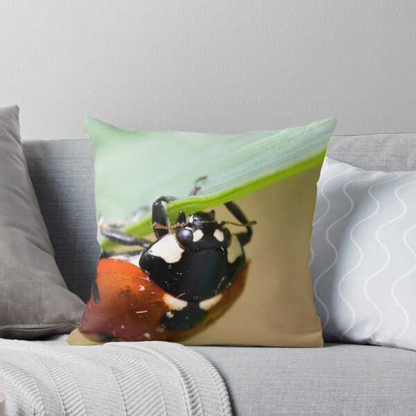 Item preview, Coccinella septempunctata designed and sold by André Gonçalves.