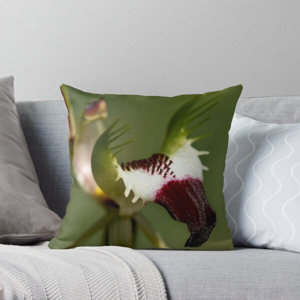 Item preview, Detail - King Spider Orchid designed and sold by LeeoPhotography.