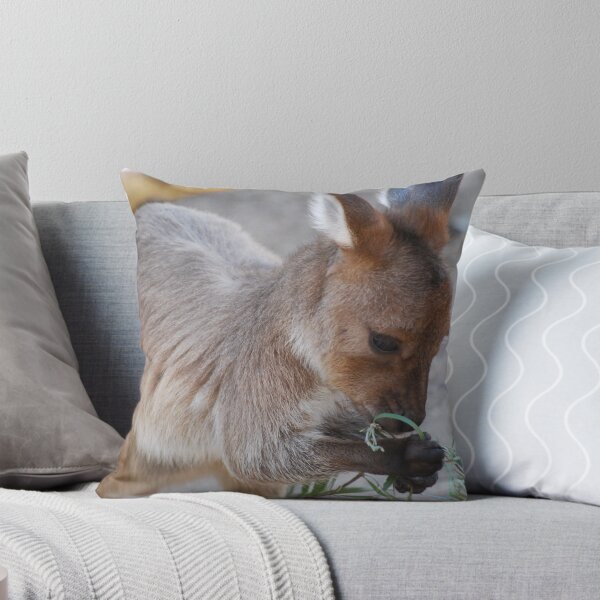 Item preview, Joey designed and sold by Judi Corrigan.